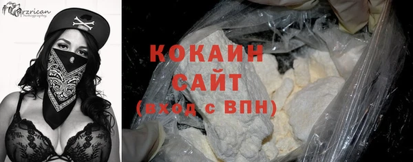 дживик Богородск