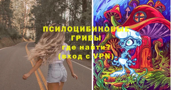 мескалин Богородицк