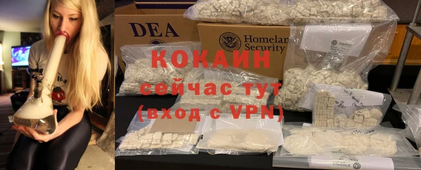 дживик Богородск