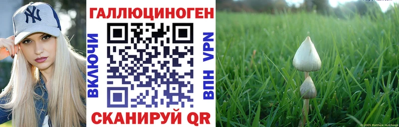 Галлюциногенные грибы прущие грибы  ссылка на мегу tor  Мурманск  что такое наркотик 